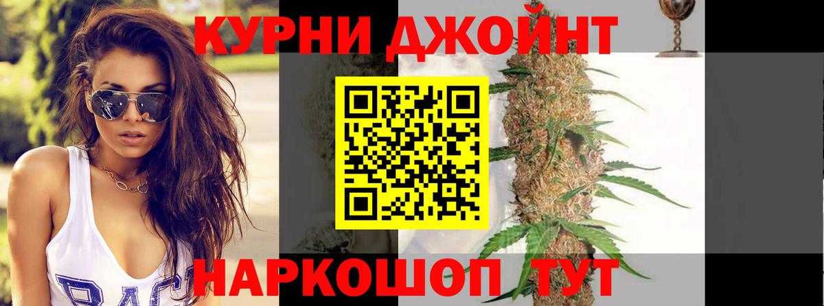 Конопля семена  Вход с VPN  Канабис сатива  Можга  Канабис семена 
